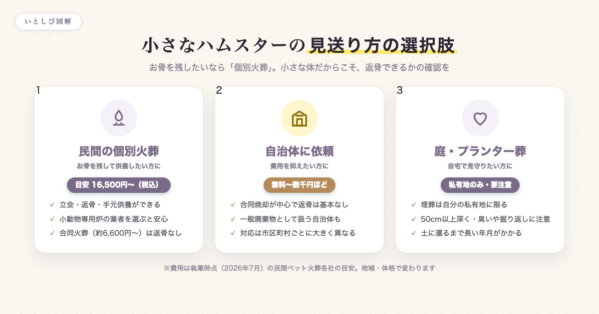 ハムスターの見送り方の選択肢（個別火葬・自治体・庭やプランターへの埋葬）