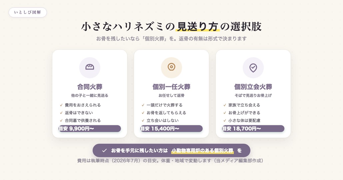 ハリネズミの見送り方の選択肢を合同火葬・個別一任火葬・個別立会火葬の3つで比較した図解