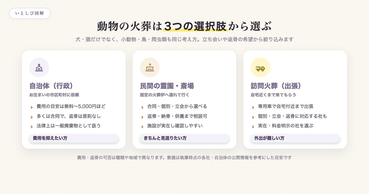 動物の火葬の3つの選択肢(自治体・民間霊園・訪問火葬)を比較した図