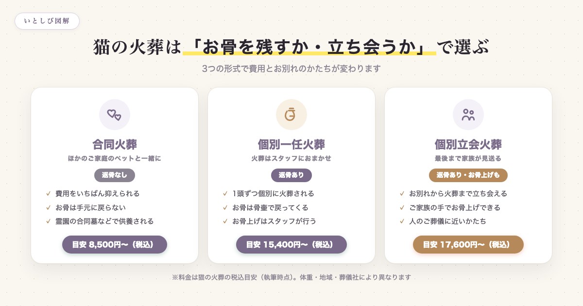 猫の火葬3形式（合同・個別一任・個別立会）の返骨可否と費用目安の比較図