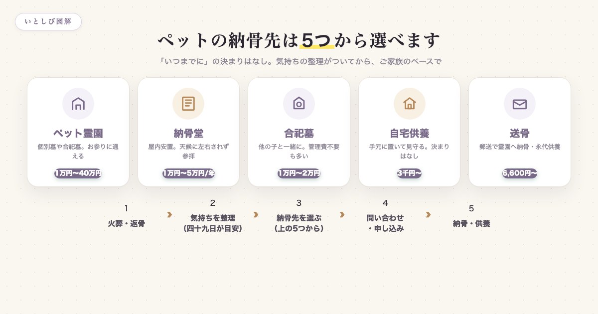 ペットの納骨先5つの選択肢と納骨までの流れを示した図解