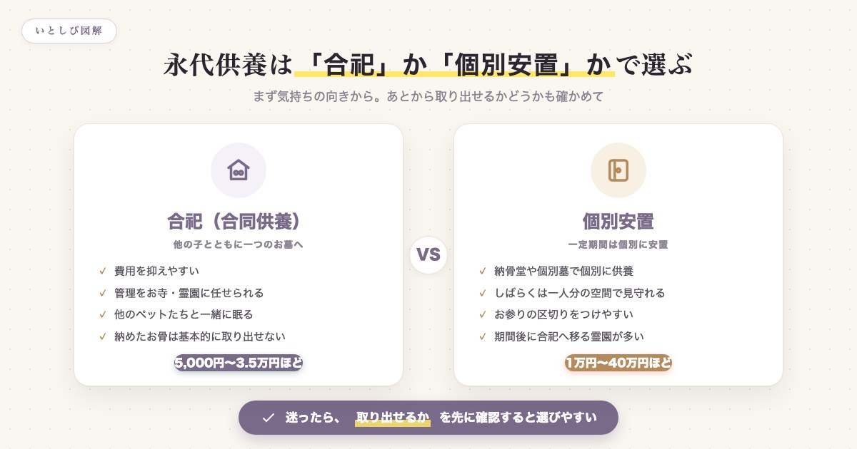 永代供養の合祀と個別安置の違いを比較した図(費用・お骨の取り出し可否)