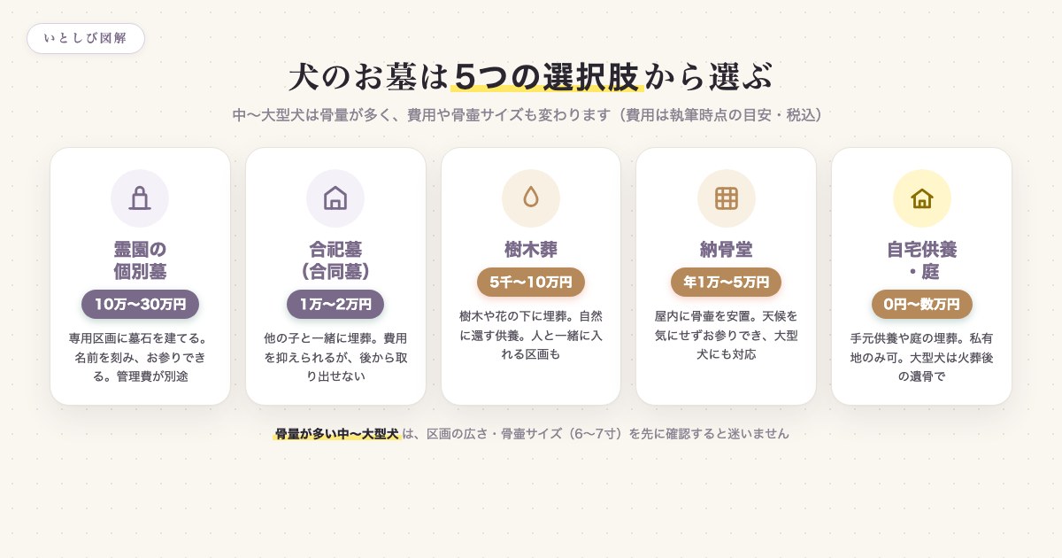 犬のお墓の5つの種類と費用相場を比較した図解