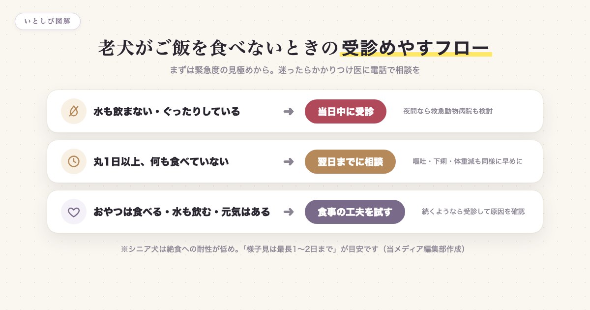 老犬がご飯を食べないときの受診めやすフロー