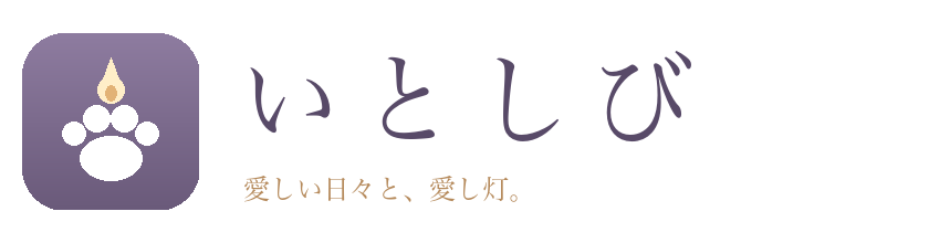 いとしび