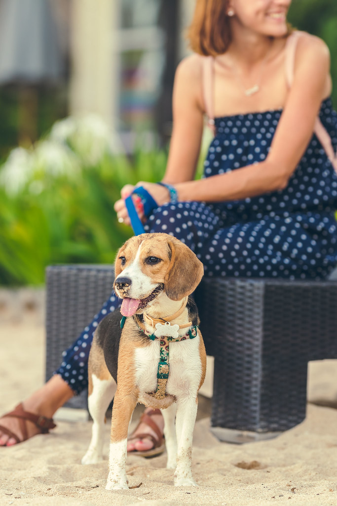 ベンチで犬と寄り添う女性