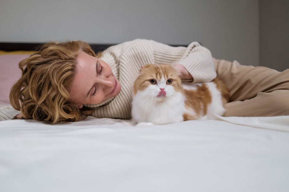ご飯を前にした猫にそっと寄り添う飼い主