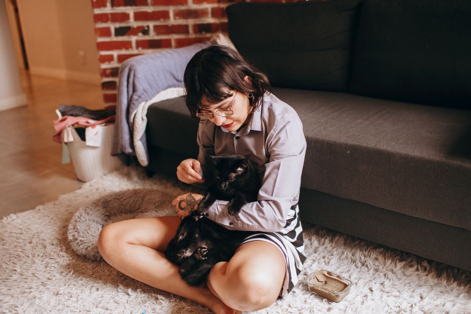 猫に手からご飯を差し出す飼い主の手元