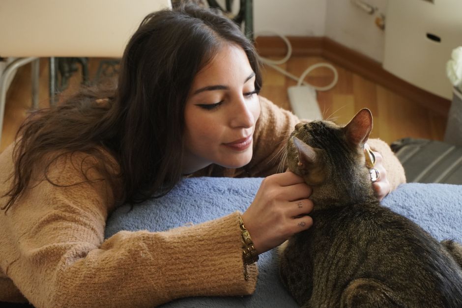 猫を抱きながら見守る飼い主