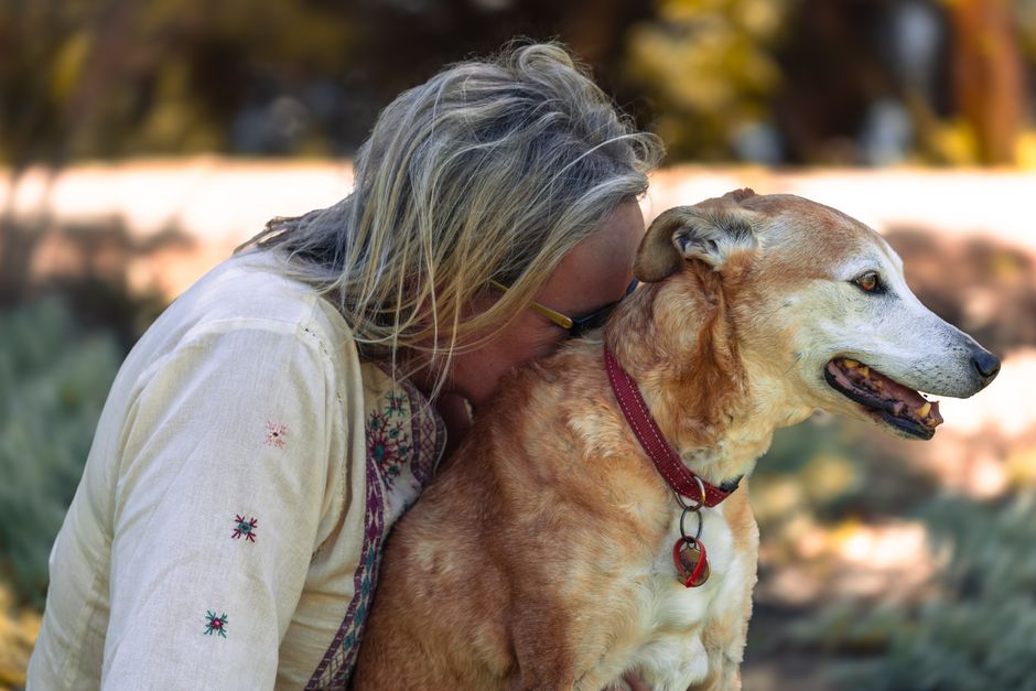 愛犬と静かに過ごす飼い主
