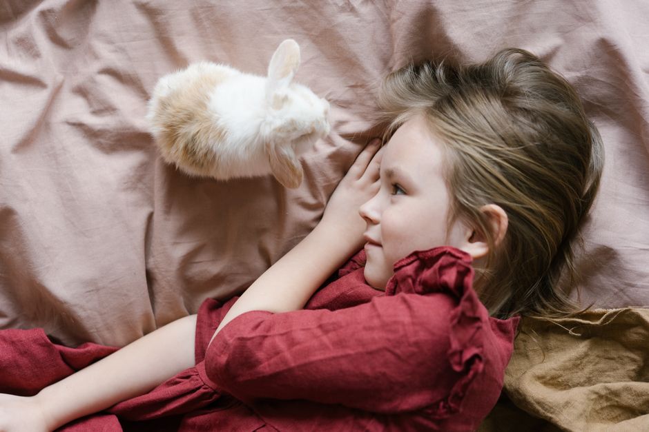 小さなペットをそっと見守る飼い主の手元