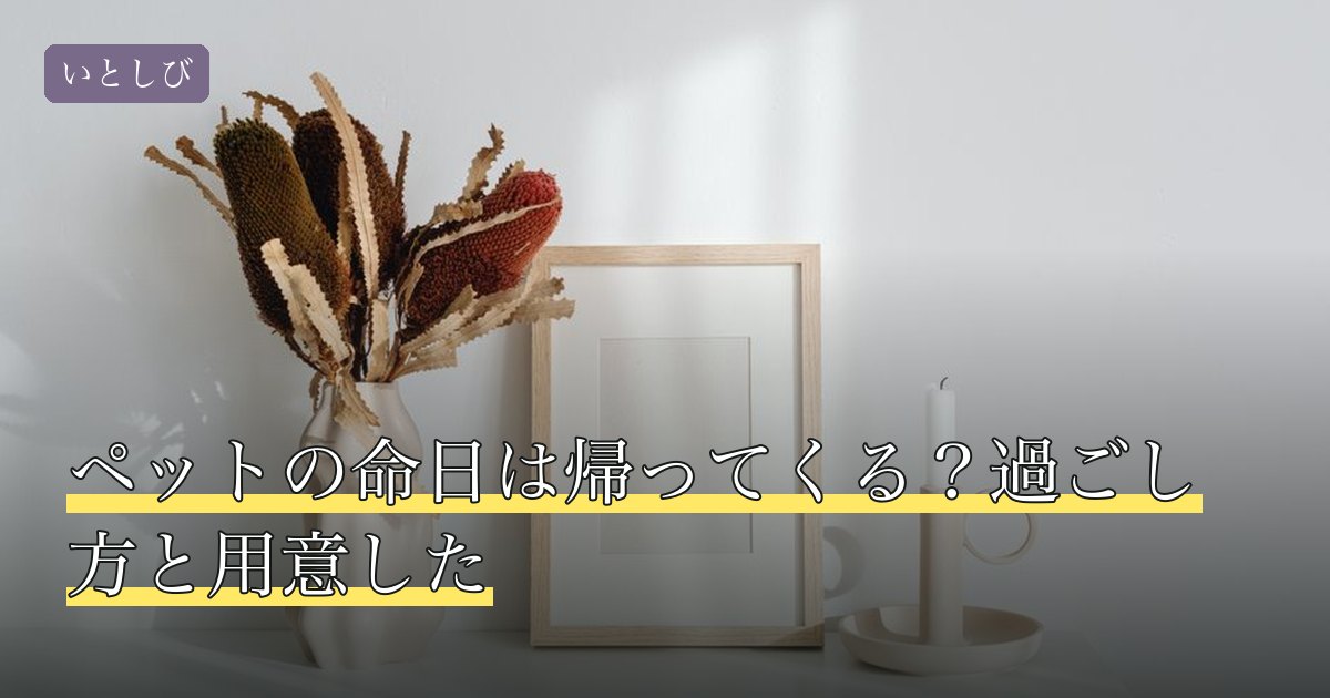 ペットの命日は帰ってくる？過ごし方と用意した