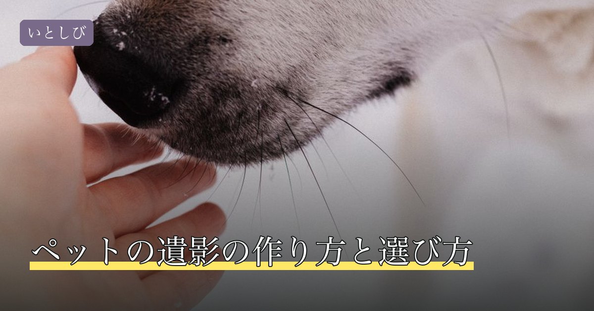 ペットの遺影の作り方と選び方
