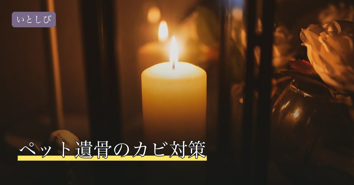 ペット遺骨のカビ対策