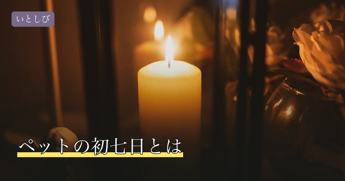 ペットの初七日とは