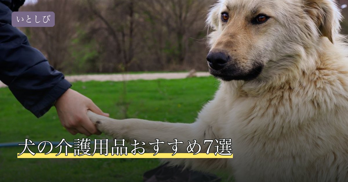 犬の介護用品おすすめ7選