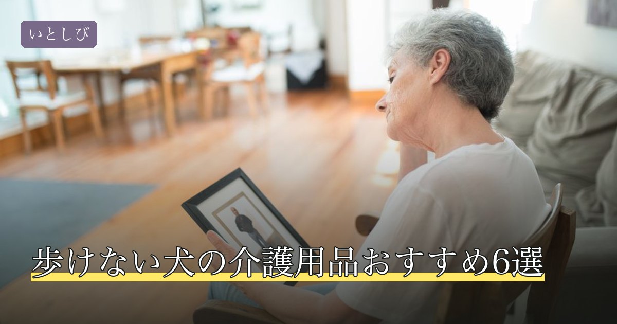 歩けない犬の介護用品おすすめ6選
