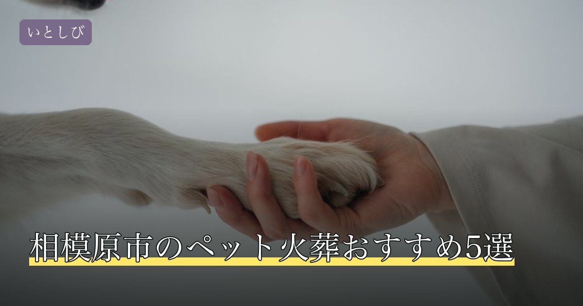 相模原市のペット火葬おすすめ5選