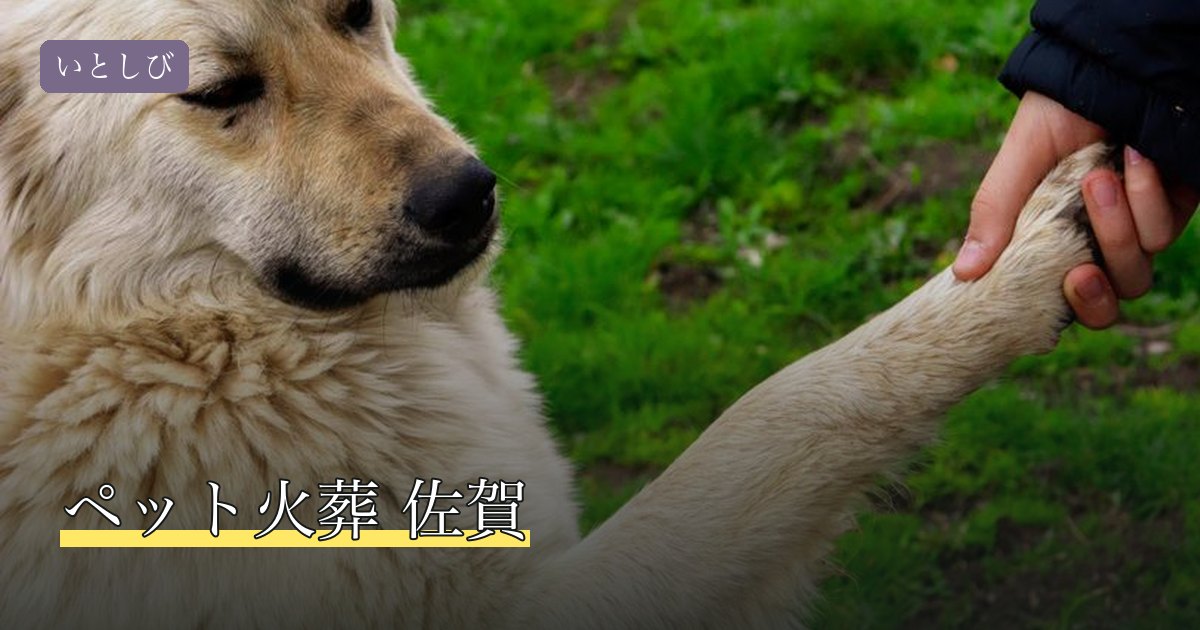 ペット火葬 佐賀