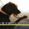 ペット火葬 札幌のおすすめ6選