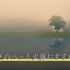 江戸川区のペット火葬おすすめ5選