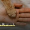 ペット火葬 大田区
