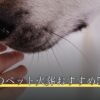 久喜市のペット火葬おすすめ5選