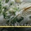 生駒市のペット火葬おすすめ5選
