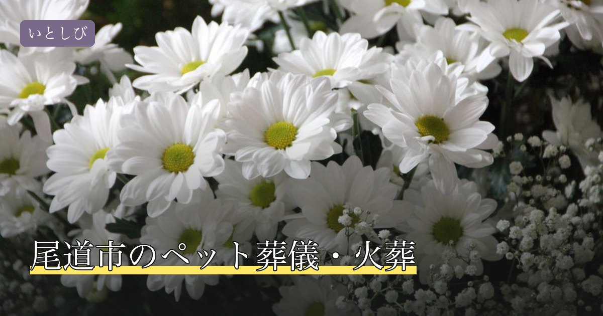 尾道市のペット葬儀・火葬