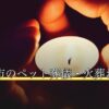 国分寺市のペット葬儀・火葬おすすめ4選