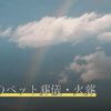 秩父市のペット葬儀・火葬