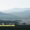 ペット火葬 八尾市