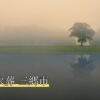 ペット火葬 三郷市