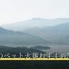 足立区のペット火葬おすすめ5選