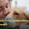 ペットの死後硬直はいつから？時間の目安と、硬
