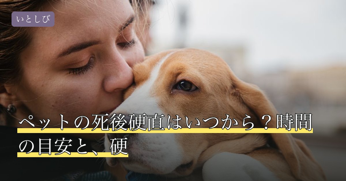 ペットの死後硬直はいつから？時間の目安と、硬