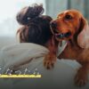 犬が亡くなったら