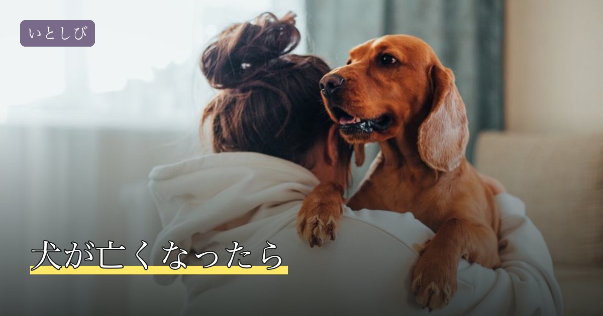 犬が亡くなったら