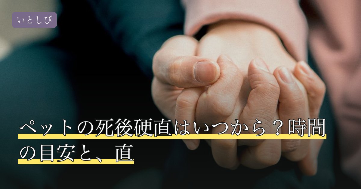 ペットの死後硬直はいつから？時間の目安と、直