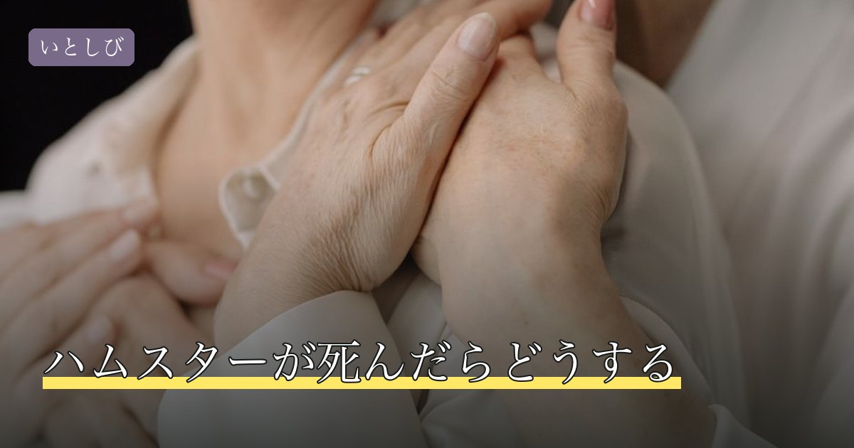 ハムスターが死んだらどうする