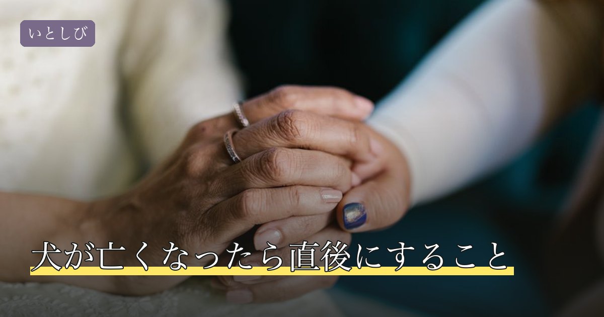 犬が亡くなったら直後にすること