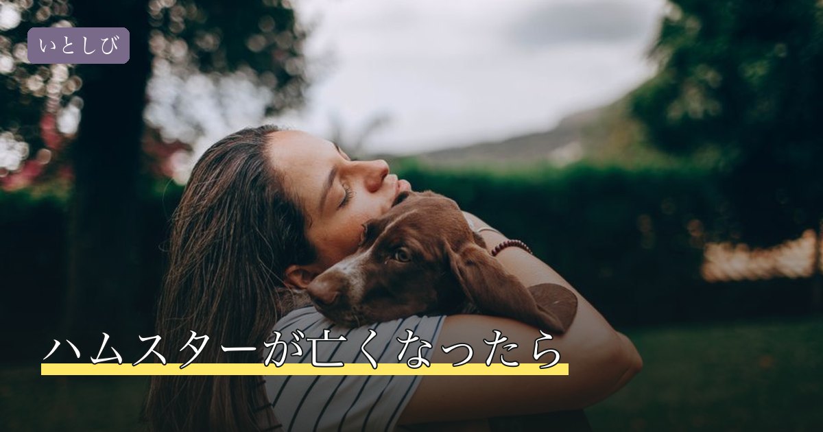 ハムスターが亡くなったら