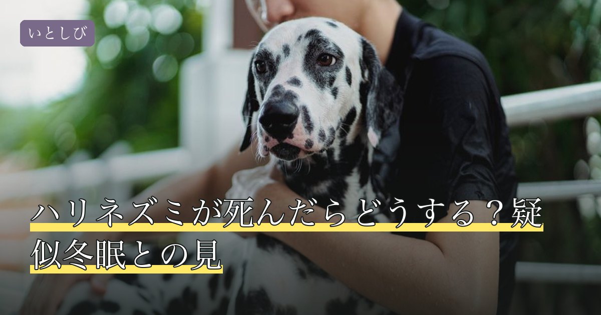 ハリネズミが死んだらどうする？疑似冬眠との見
