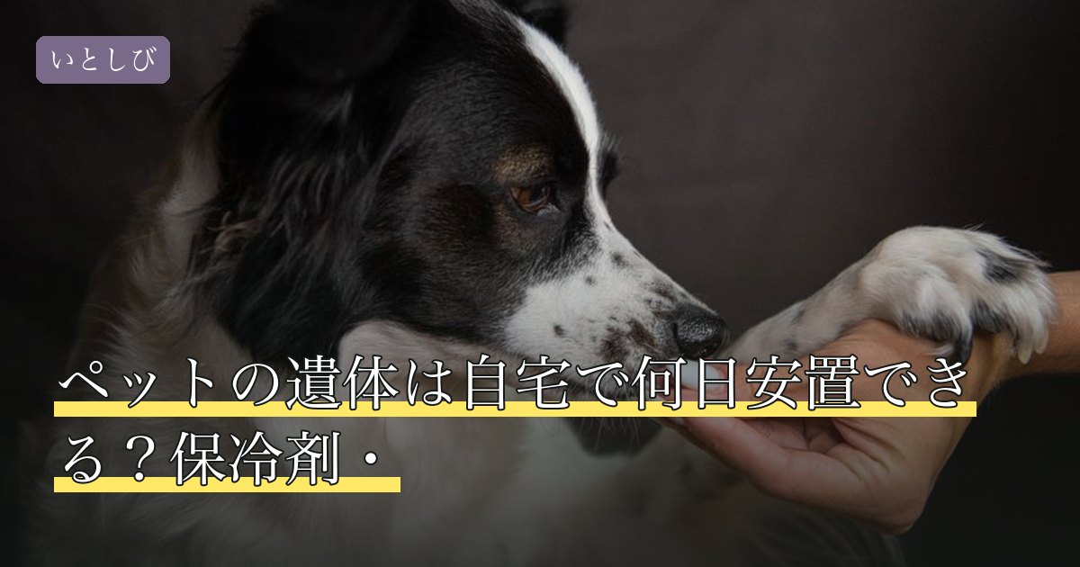 ペットの遺体は自宅で何日安置できる？保冷剤・