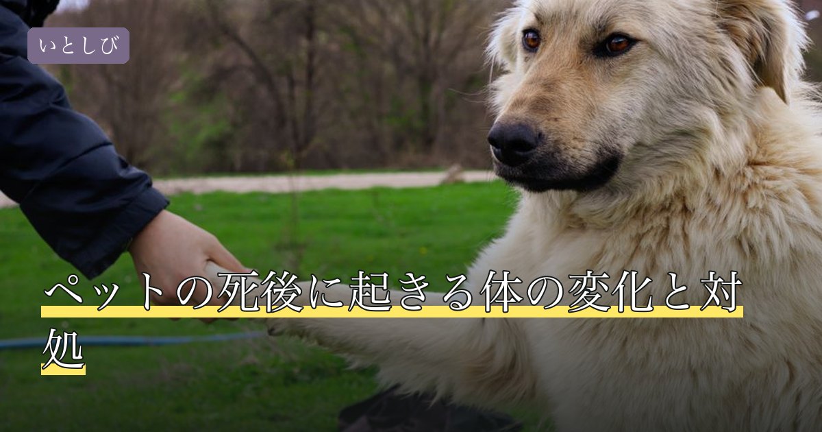 ペットの死後に起きる体の変化と対処
