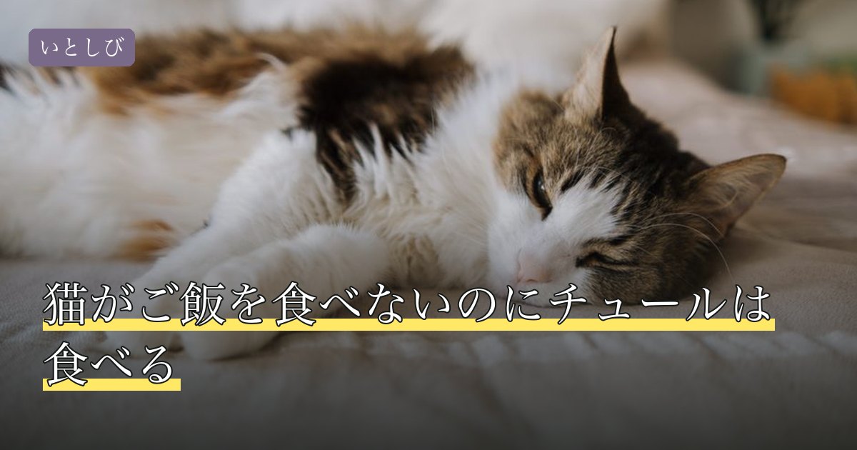 猫がご飯を食べないのにチュールは食べる