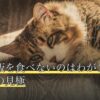 犬がご飯を食べないのはわがまま？病気との見極