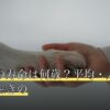 うさぎの寿命は何歳？平均・人間換算・長生きの