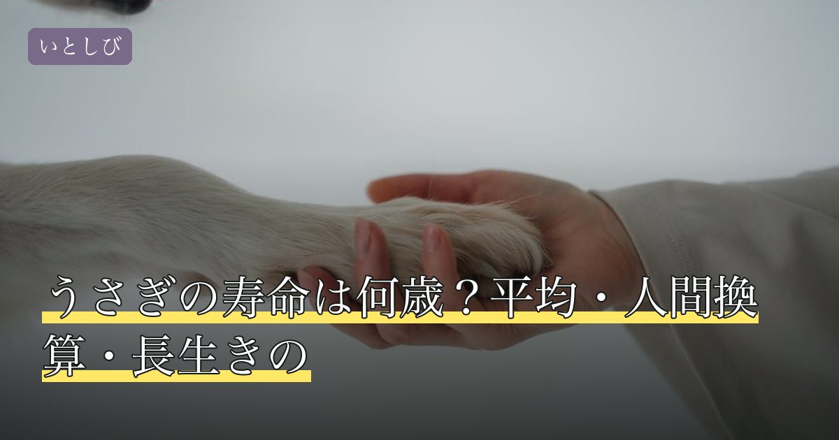 うさぎの寿命は何歳？平均・人間換算・長生きの