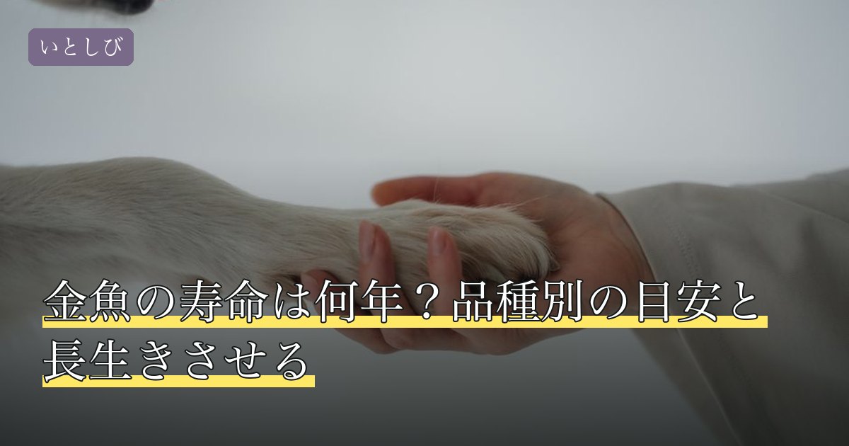 金魚の寿命は何年？品種別の目安と長生きさせる